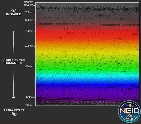 The solar spectrum as viewed by NEID.